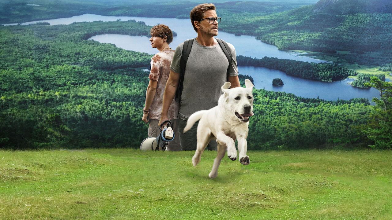 ‘Dog Gone’ หนังฟีลกู้ดที่หลงทางยิ่งกว่าสุนัขในเรื่อง